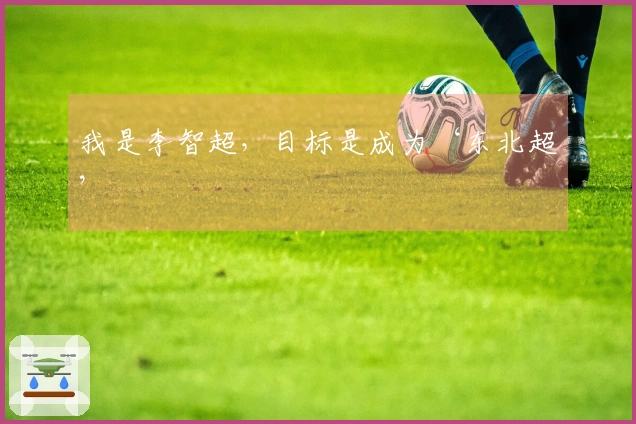 我是李智超，目标是成为‘东北超’
