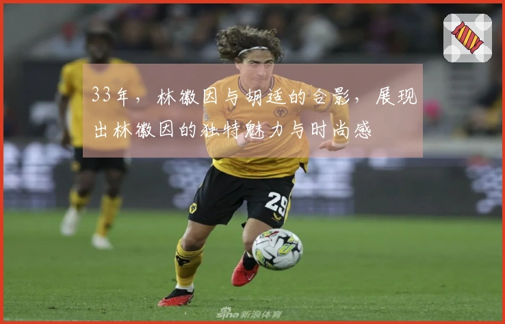 33年，林徽因与胡适的合影，展现出林徽因的独特魅力与时尚感